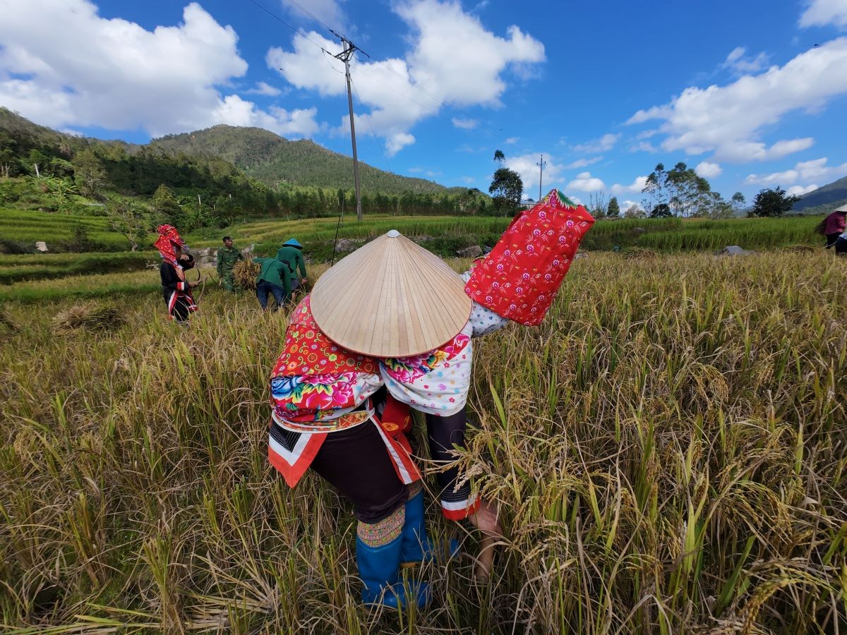 Binh Lieu Dao People Gotoday (11)